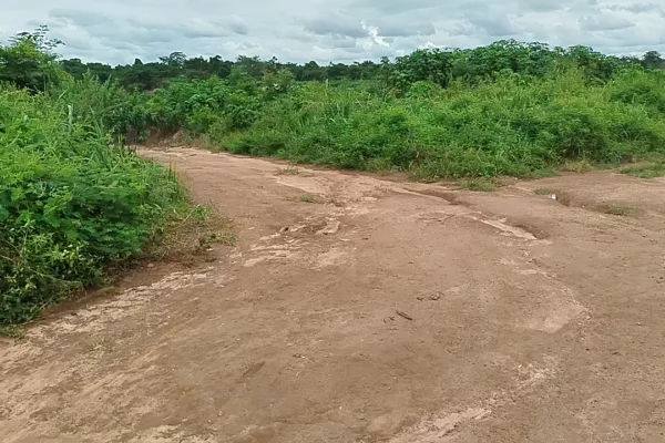 TERRAIN AVEC ACD À 100 mètres du Bitume