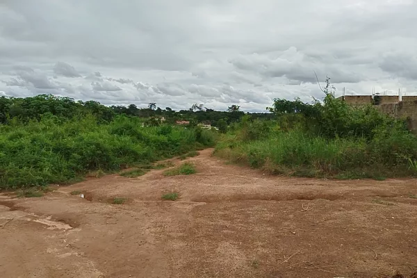 TERRAIN AVEC ACD À 100 mètres du Bitume