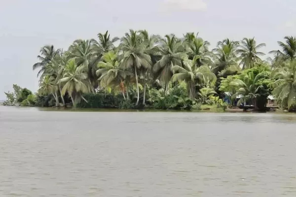 2 hectare a vendre a Lauzoua en bordures de la lagune, site très paradisiaque, lauzoua est a 150km d'Abidjan après grand lahou sur la côtière, site touristique aussi.