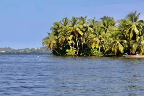 2 hectare a vendre a Lauzoua en bordures de la lagune, site très paradisiaque, lauzoua est a 150km d'Abidjan après grand lahou sur la côtière, site touristique aussi.