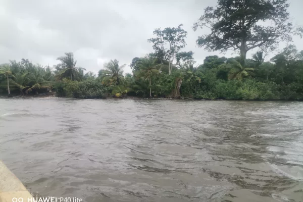 2 hectare a vendre a Lauzoua en bordures de la lagune, site très paradisiaque, lauzoua est a 150km d'Abidjan après grand lahou sur la côtière, site touristique aussi.