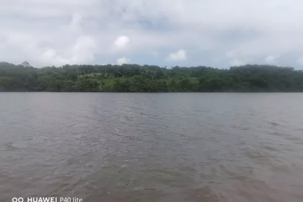 2 hectare a vendre a Lauzoua en bordures de la lagune, site très paradisiaque, lauzoua est a 150km d'Abidjan après grand lahou sur la côtière, site touristique aussi.