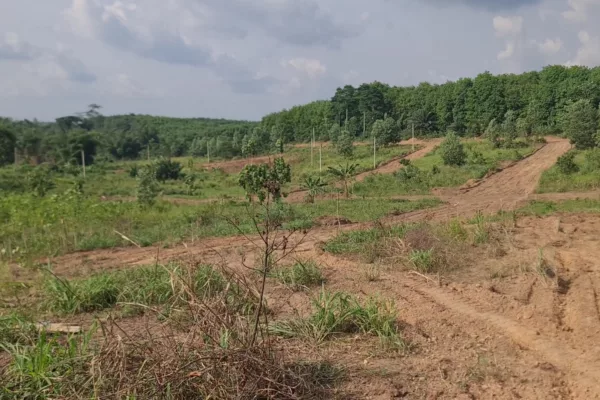 Terrains à bâtir à AZAGUIÉ commune environnante du grand ABI