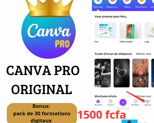 Canva pro ( version pro )