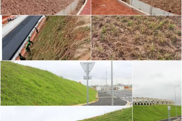 Entretien des espaces verts et traitement phytosanitair vent