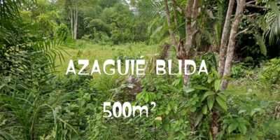 500M² AZAGUIE BLIDA