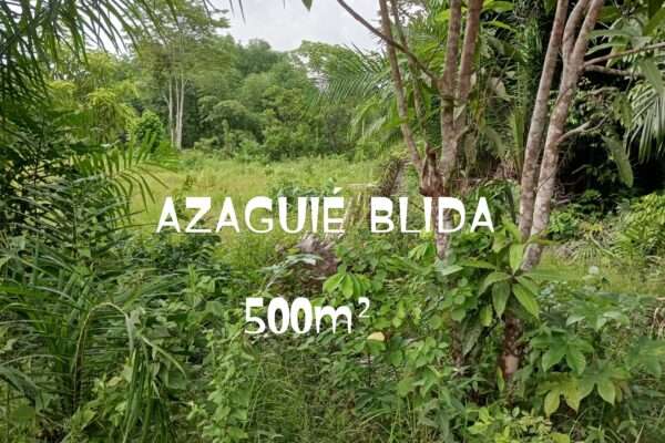 500M² AZAGUIE BLIDA