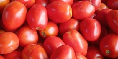 La tomate ,et tout légumes en vente