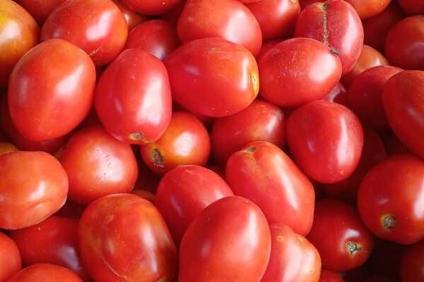 La tomate ,et tout légumes en vente