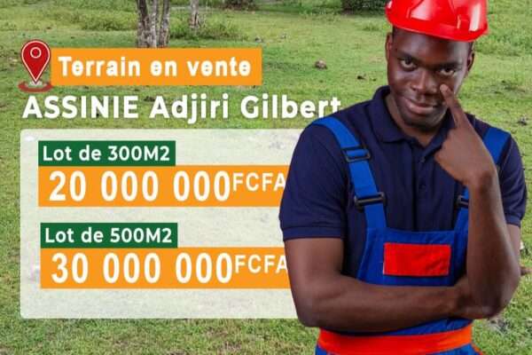 Terrain en vente assinie adjiri Gilbert