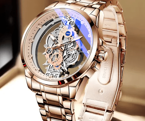 Montre de luxes