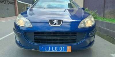 Peugeot 407