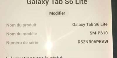 Galaxy tab s6 lite en vente