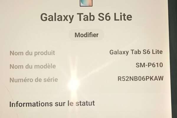 Galaxy tab s6 lite en vente