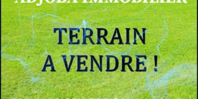 VENTE DE TERRAIN A GRAND BASSAM MOTOBÉ