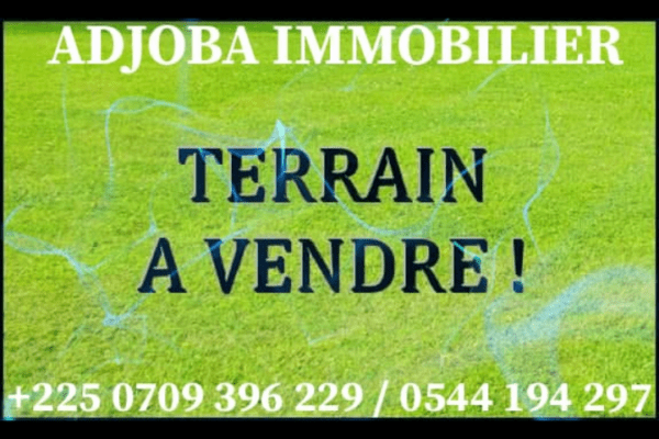 VENTE DE TERRAIN A GRAND BASSAM MOTOBÉ