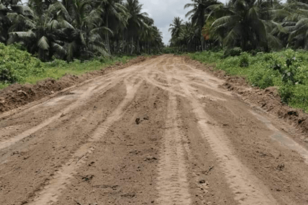 VENTE DE TERRAIN A GRAND BASSAM MOTOBÉ