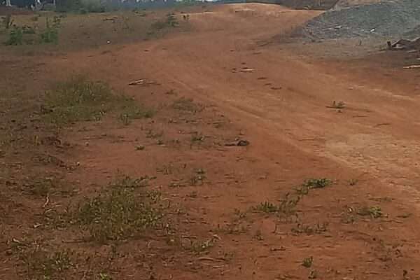 Terrain en vente à yamoussoukro déjà approuvé