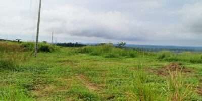 Terrain en vente (Djibi Village)