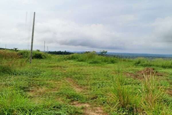 Terrain en vente (Djibi Village)