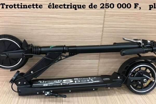 Trottinette Électrique HCA250 en vente