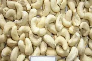 shelled cashew nuts from Ivory Coast