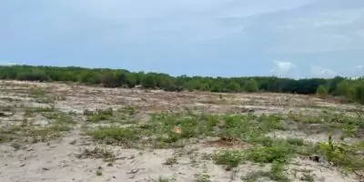 Îlot de 12 lots de 500m² nouvelles autoroute mondoukou assoi