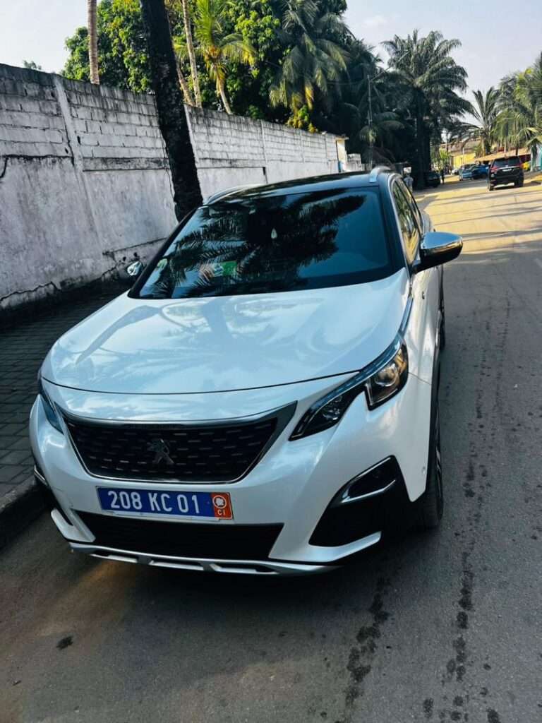 Peugeot 3008 GT Année 2019 4 cylindres Diesel turbo Intérieur cuir démarrage start moteur impeccable coffre automatique / hayon mains libres / i cockpit Capteur devant-arrière Kilométrage 44000 mil Véhicule très bien entretenu Zéro défaut consommation