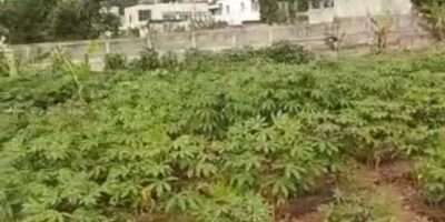 Riviera Beverly Hills 2000 m² avec ACD EN VENTE