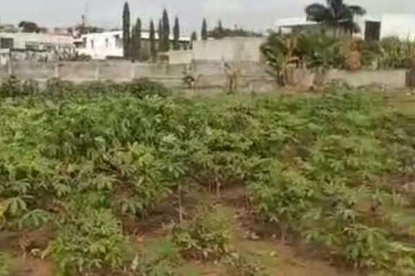 Riviera Beverly Hills 2000 m² avec ACD EN VENTE