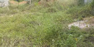 Riviera golf4 Lot 2000m² avec ACD EN VENTE bordure de route