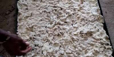 VENTE DE TSR10, RSS3, CRÊPES