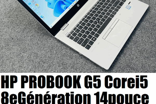 PUISSANT HP PROBOOK CORE i5 8eGeneration
