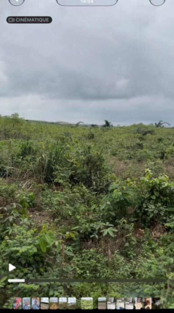 Terrains à vendre à Songon