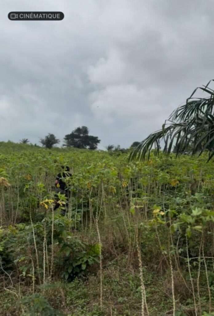 Terrains à vendre à Songon