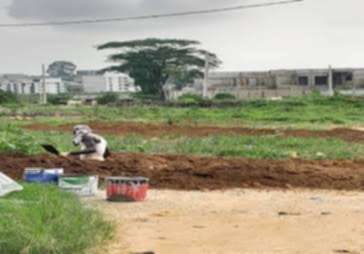 Des lots à Alepe sur la route de Angré